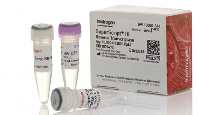 18080044  Invitrogen SuperScript™ III Reverse Transcriptase